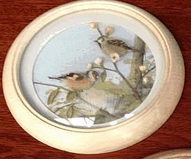Nuthatches (5-inch)
